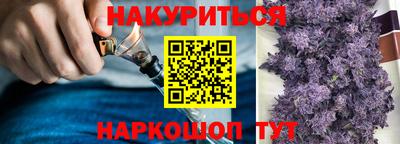 Альфа ПВП Канаш