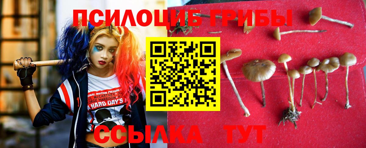 Галлюциногенные грибы Psilocybine cubensis  Вход с VPN  Псилоцибиновые грибы Psilocybe  Южноуральск 
